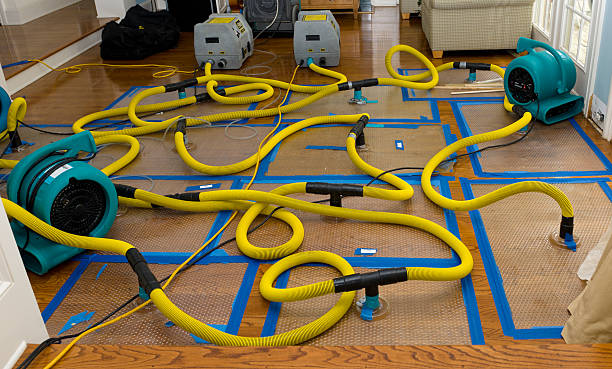 Professional Structural Drying And Dehumidification technician working in Gibson, TN